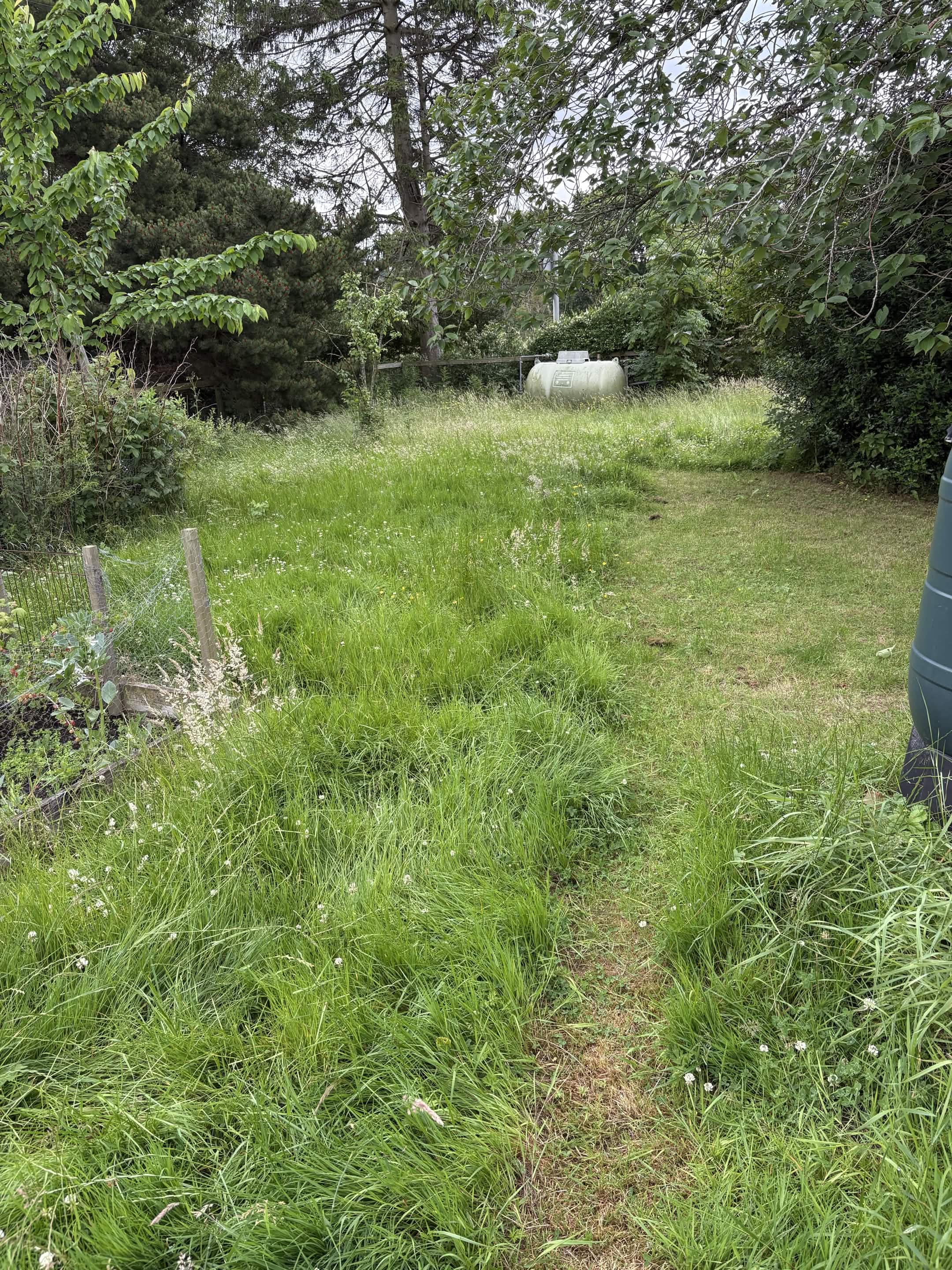 Before grass cutting work